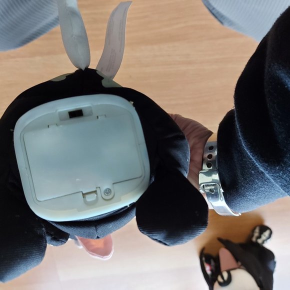 Skeleton Dog & Bag Halloween Sound Making Animals - Picture 5 of 5